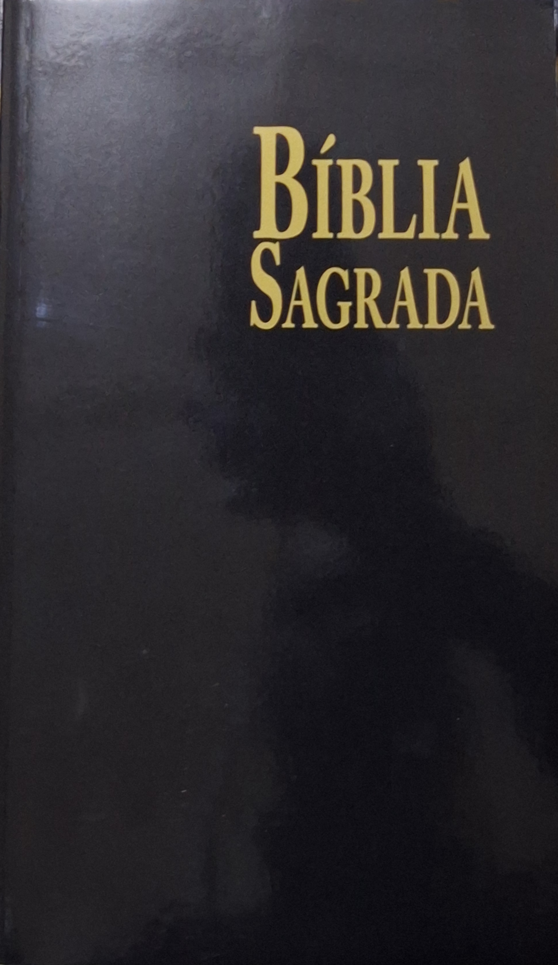 Bíblia Sagrada - João Ferreira de Almeida
