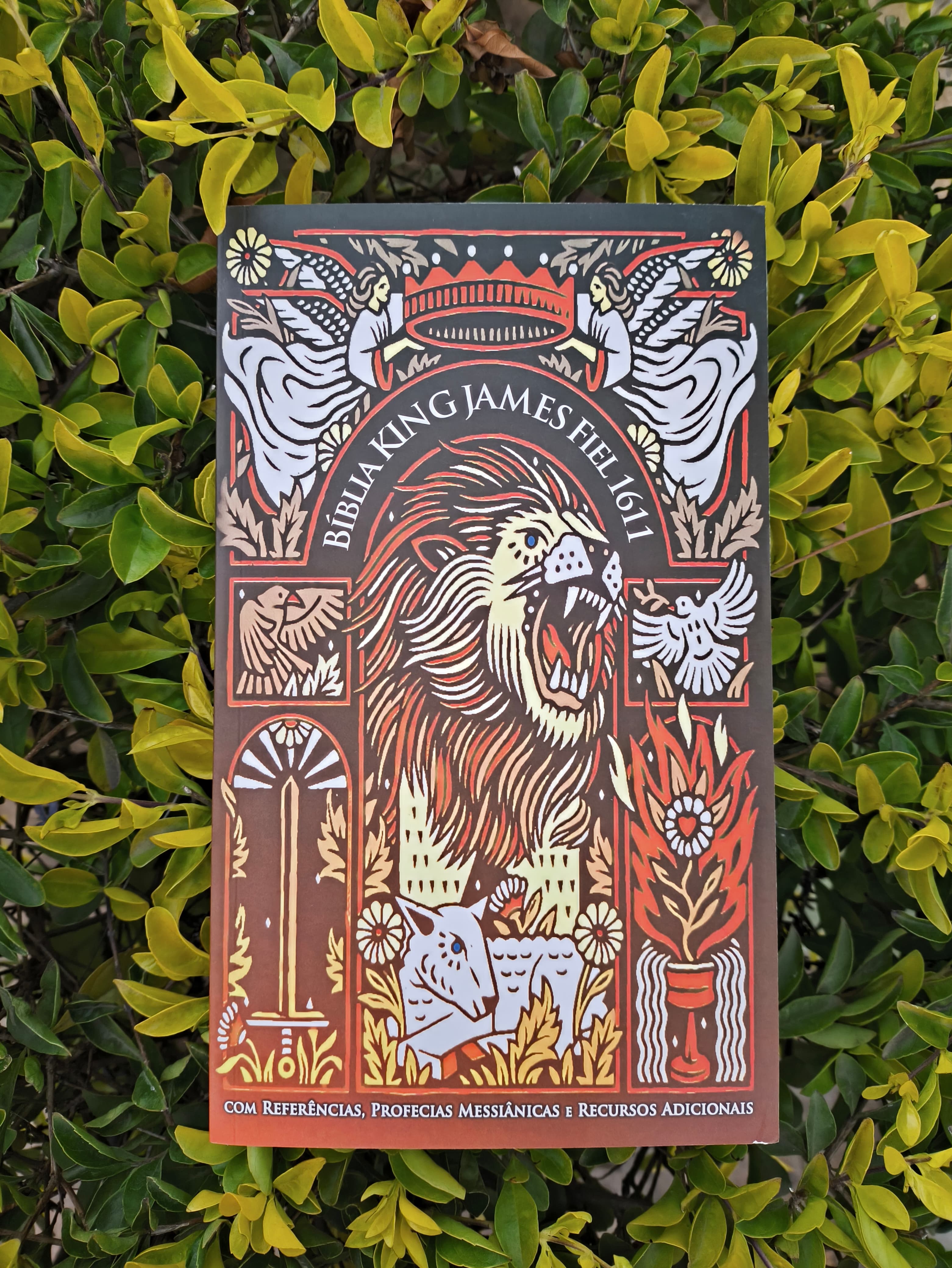 Biblia King James Fiel 1611 - Imagem 2