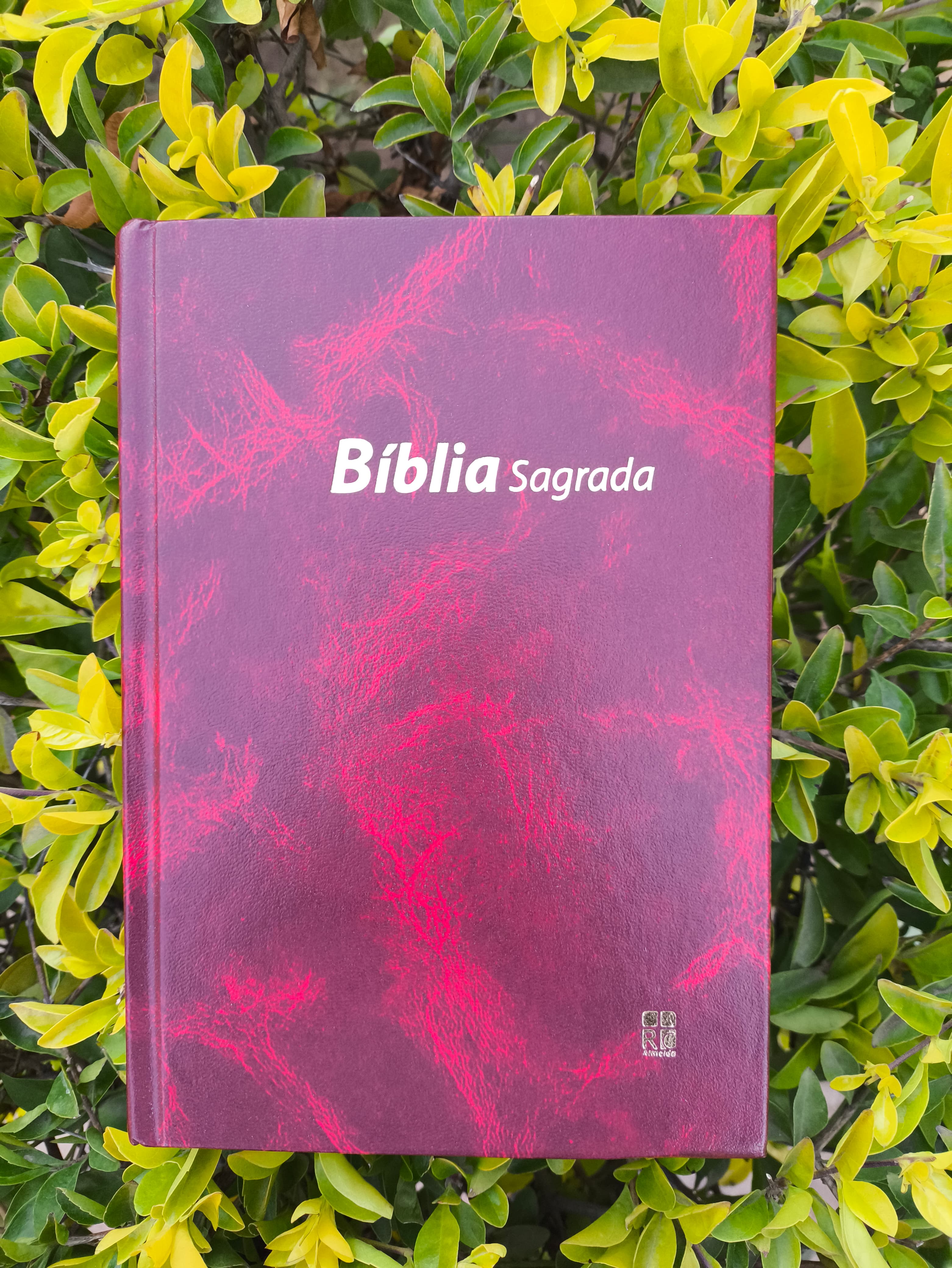 Bíblia Sagrada  - Imagem 1