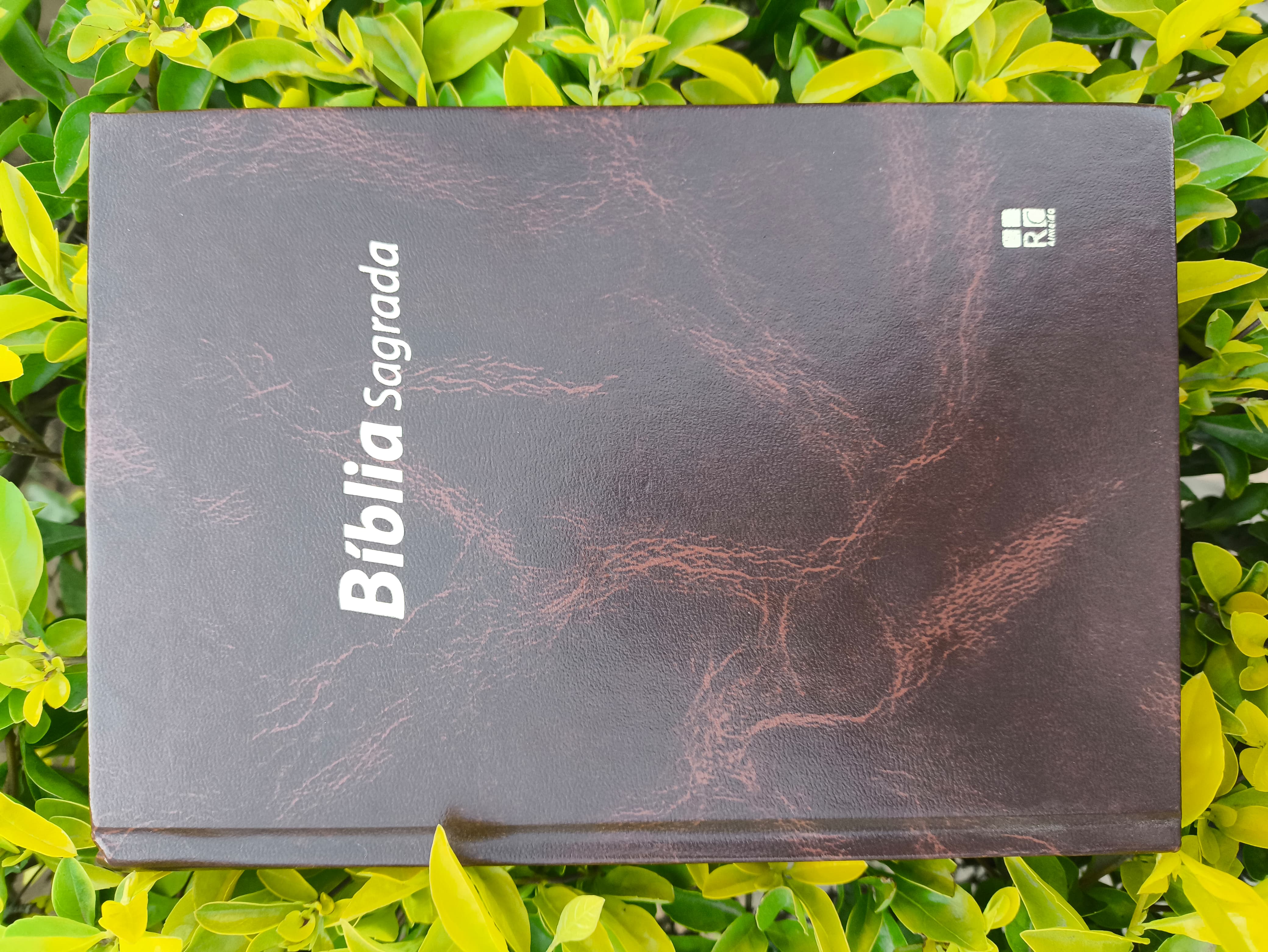 Bíblia Sagrada  - Imagem 2