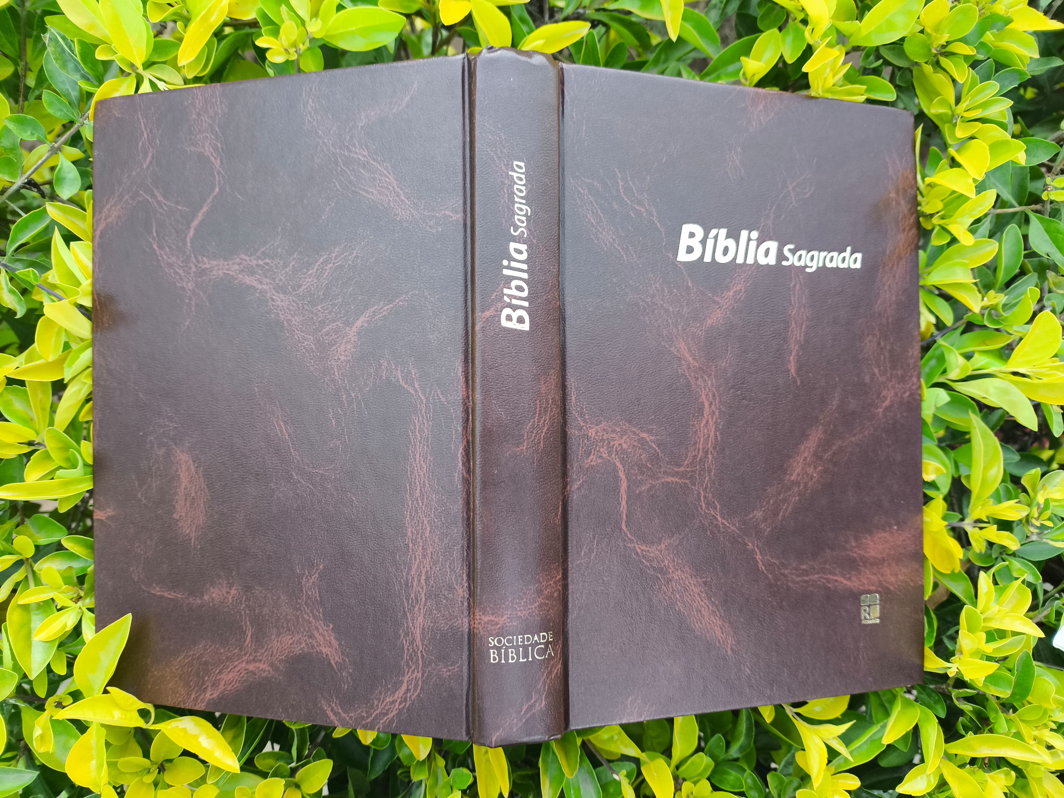 Bíblia Sagrada  - Imagem 1