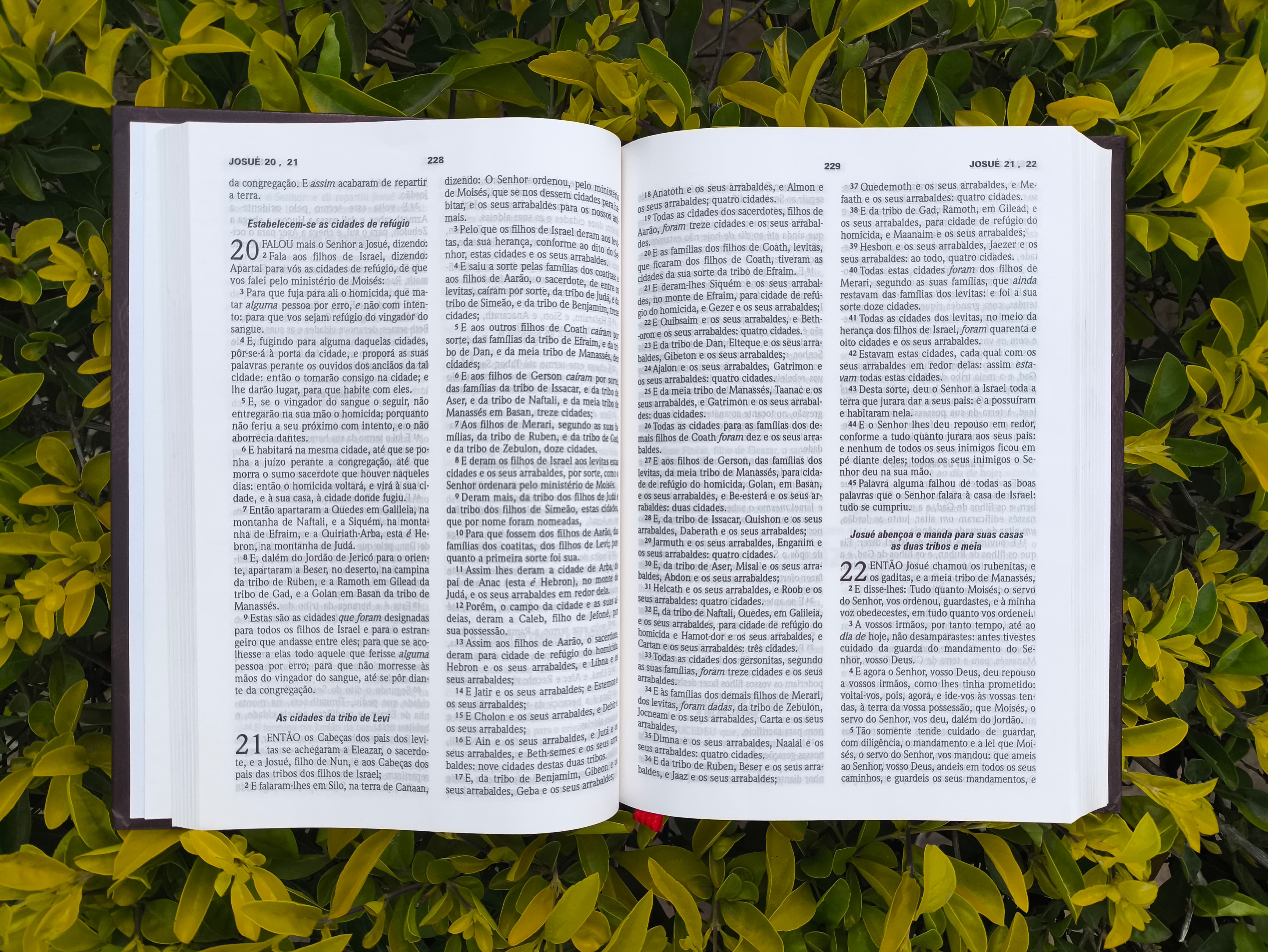 Bíblia Sagrada  - Imagem 3