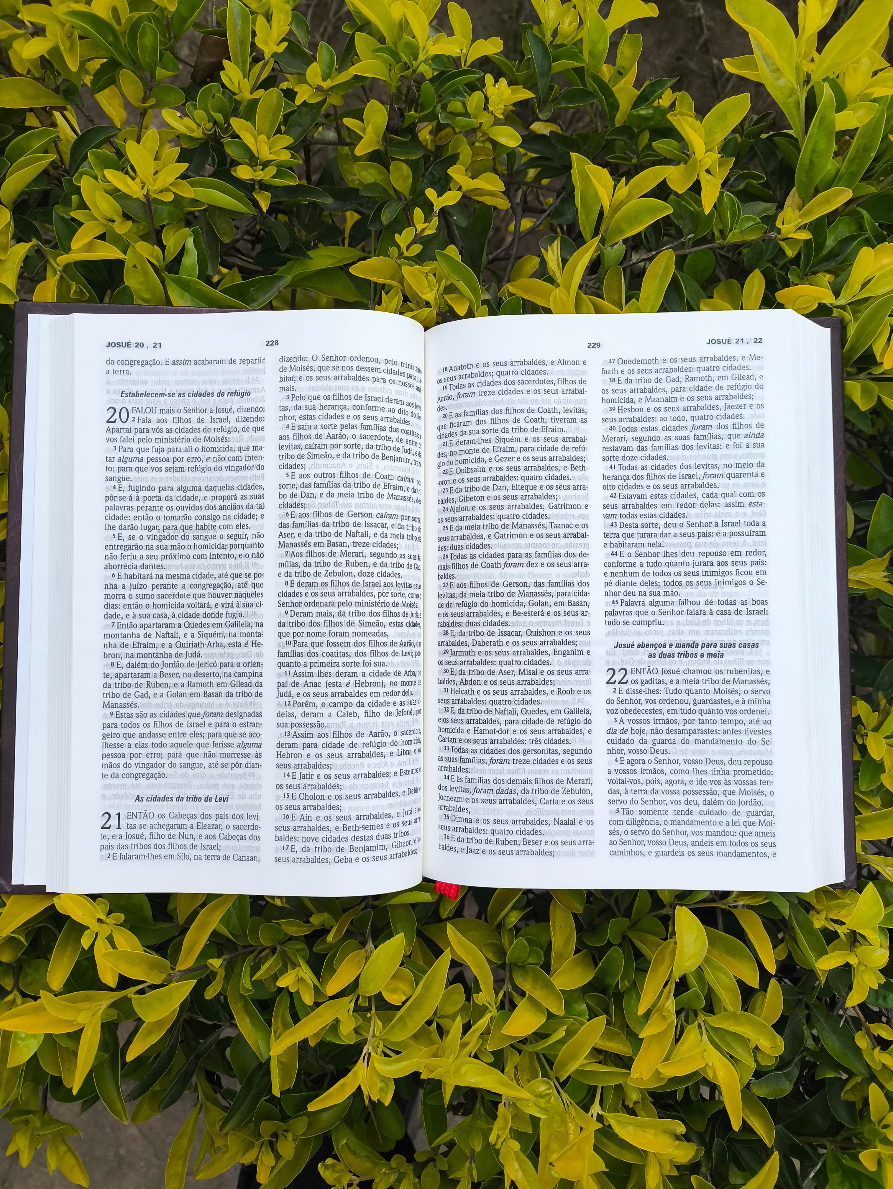 Bíblia Sagrada  - Imagem 1